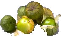 Tomatillo