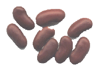 Red kidney Beans 